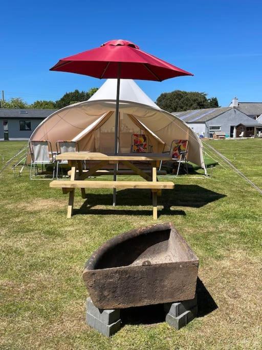 Cox Hill Glamping Badger 호텔 트루로 외부 사진